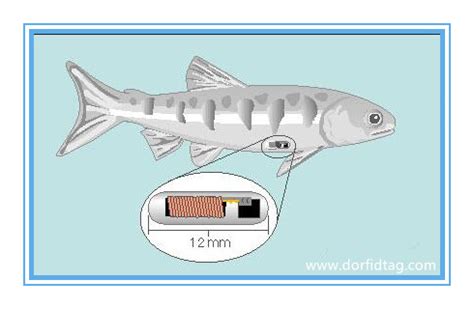 fish rfid tags|cheapest rfid tags.